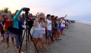 Adrénaline - Surf : Le best-of vidéo du Puerto Escondido Challenge 2017