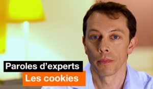 Paroles d'experts - Les cookies - Orange