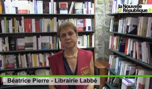 VIDEO. Petit conseil de lecture d'été par la librairie Labbé de Blois