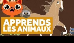 Apprendre Les Animaux - L'École des Zibous ! Vidéo Educative
