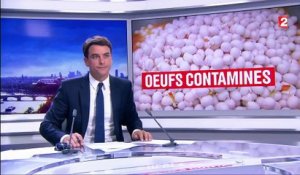Le scandale des oeufs contaminés au fipronil touche désormais la France