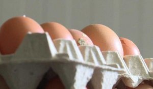 Crise des œufs contaminés au firponil : le point en 6 infos