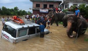 Mousson au Népal: des touristes évacués à dos d'éléphants