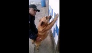 Ce policier fouille un Chien debout au mur comme un suspect LOL