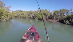 Ce kayakiste pensait avoir trouvé un coin tranquille pour pêcher (Australie)
