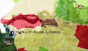 "13h15". Les zones viticoles en France consomment 20% des pesticides pour moins de 4% de la surface agricole