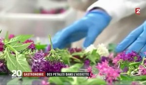 Gastronomie : les fleurs comestibles ont envahi les cuisines des grands chefs