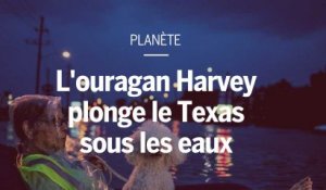 L'ouragan Harvey plonge le Texas sous les eaux