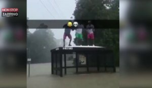 Ouragan Harvey : Ils s’amusent à sauter sur un abribus pendant les inondations (Vidéo)