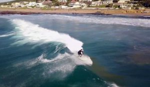 Des dauphins prennent la vague au milieu des surfeurs en Afrique du Sud