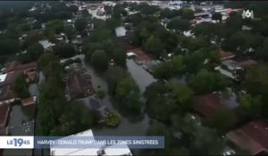 Etats-Unis : Après l'ouragan Harvey, un homme retrouve un alligator dans son salon ! Regardez