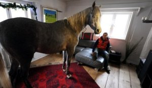 Pour sauver ses chevaux de l'ouragan, elle les installe dans sa maison