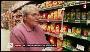 Sarthe : le cornichon français fait de la résistance