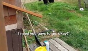 Il demande calmement à ces ours de quitter son jardin... Et ils le font!