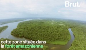 Une partie de la forêt amazonienne sauvé grâce à la population