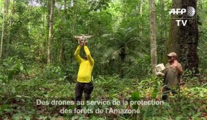Des drones au service de la protection des forêts de l'Amazone