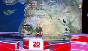 DOCUMENT FRANCE 2. "On n'a pas d'autre choix que de revenir" : en Syrie, le difficile retour des habitants à Alep, meurtrie par la guerre