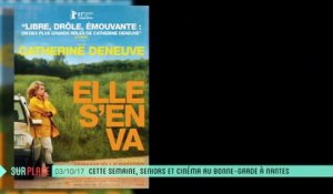 Sur place à FestiV'Ainés au Cinéma Bonne-Garde à Nantes