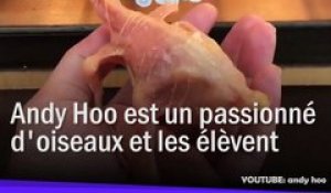 Avez Vous Deja Vu La Naissance De Boas Maintenant Oui Sur Orange Videos