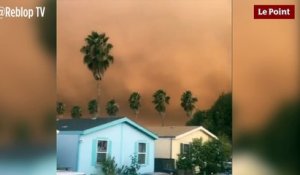Incendies en Californie : les ravages