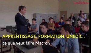 Apprentissage, formation, Unédic : ce que veut faire Macron