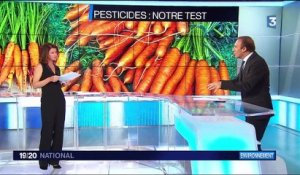 Alimentation : comment expliquer la présence de pesticides dans les produits bio ?