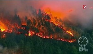 Portugal : au moins 36 morts dans des incendies toujours incontrôlés