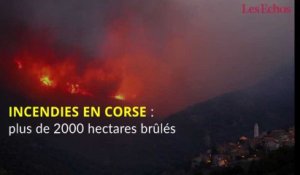 Incendies en Corse : plus de 2000 hectares brûlés