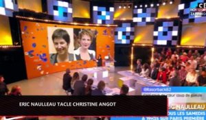 TPMP : Eric Naulleau tacle une fois de plus Christine Angot (vidéo)