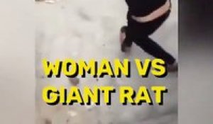 Une femme se bat avec son balai contre un rat agressif