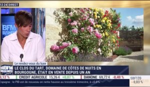 Le Rendez-vous du Luxe: François Pinault s'offre un vignoble bourbuignon pour près de 220 millions d'euros - 30/10