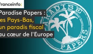 "Paradise Papers" : les Pays-Bas, un paradis fiscal au cœur de l'Europe