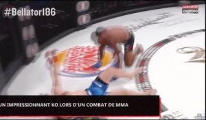 Un combattant de MMA inflige un impressionnant KO à son adversaire (vidéo)