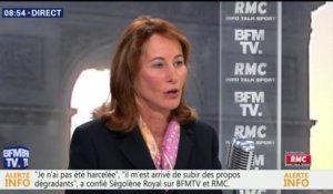 Royal: "Hulot ne doit pas accepter le renouvellement de l’autorisation du glyphosate pour 5 ans"