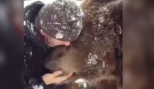 L'amour entre un ours et un homme !