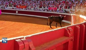 La SPA lance une guerre judiciaire contre la corrida