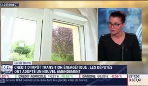 La vie immo: Nouvel amendement voté sur le Crédit d'Impôt Transition Energétique (CITE) - 10/11