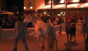 Jean-Francois Pignon et neuf chevaux en demonstration devant le Palace