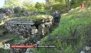 Hartmannswillerkopf : le Verdun des Vosges