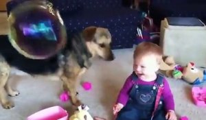 Un bébé sauvé par un chien... de bulles de savons !