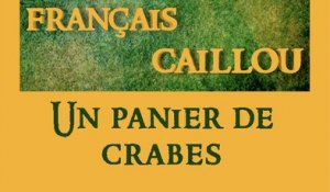 Français caillou/ Définition du jour: "Un panier de crabes"