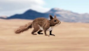 Les effets spéciaux des «Aventures de Spirou et Fantasio» : Un écureuil casse-noisettes