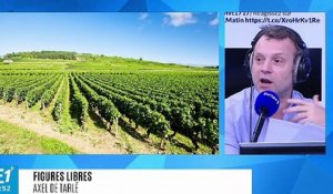 Mortifère spéculation des vins de Bourgogne : est-ce la fin de "l'esprit familial" ?