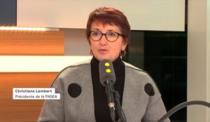 Christiane Lambert (FNSEA) prône "une reconduction du glyphosate plutôt de 5 ans que de 3 ans"