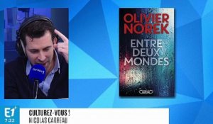 Littérature : Entre deux mondes d'Olivier Norek aux éditions Michel Lafon