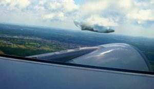 Une baleine vole à côté d'un avion
