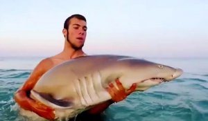 Un homme sort un requin de l'eau pour le tenir dans ses bras