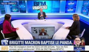 Brigitte Macron baptise le bébé panda