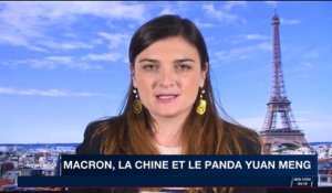 Brigitte Macron, la Chine et le panda Yuan Meng