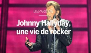 Johnny Hallyday, une vie de rocker